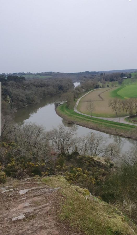 La Halte De La Vilaine Sainte-Anne-sur-Vilaine Exteriör bild